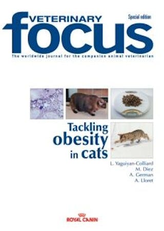 Tackling obesity in cats